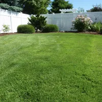 summer lawn 