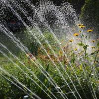 Sprinkler System