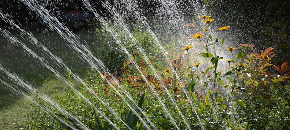 Sprinkler System