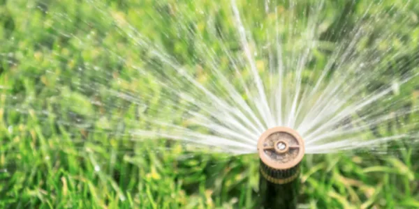 Sprinkler