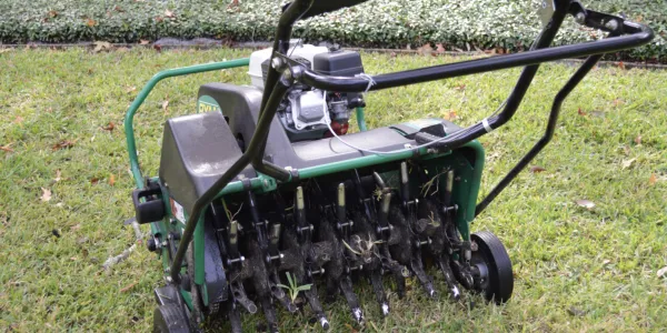 Core Aeration 