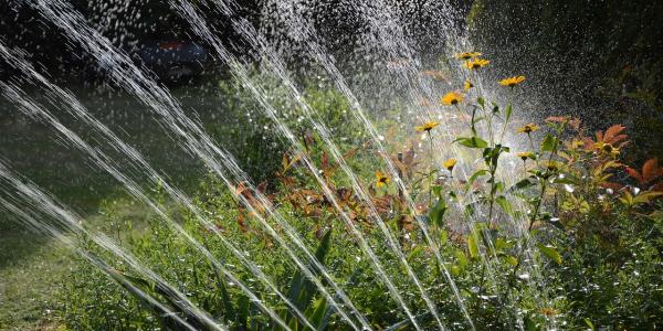 Sprinkler System