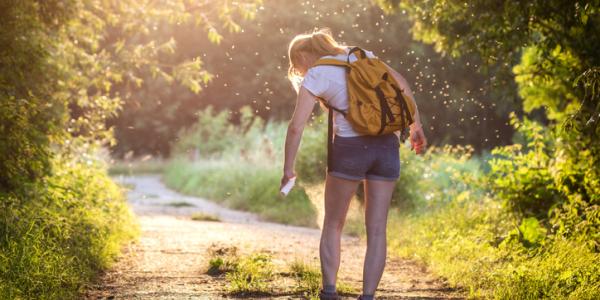 Someone Standing on a Path Spraying against Mosquitoes