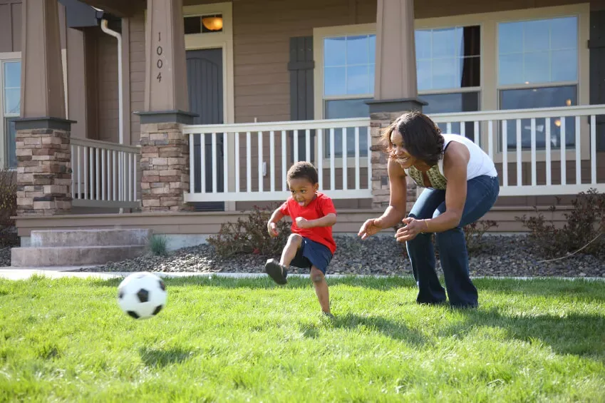 pest free yard